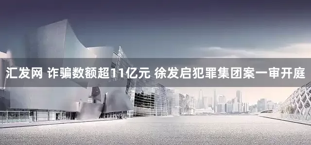 汇发网 诈骗数额超11亿元 徐发启犯罪集团案一审开庭