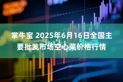 掌牛宝 2025年6月16日全国主要批发市场空心菜价格行情