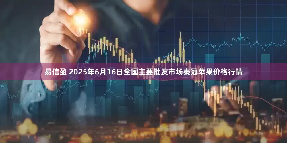 易信盈 2025年6月16日全国主要批发市场秦冠苹果价格行情