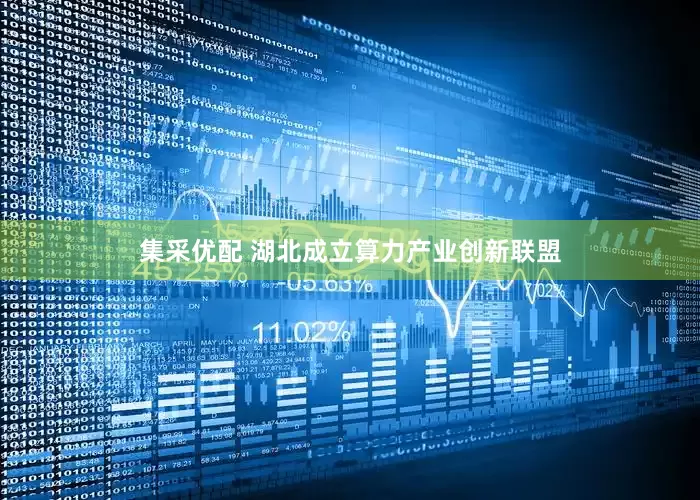 集采优配 湖北成立算力产业创新联盟
